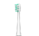T6 Toothbrush Head