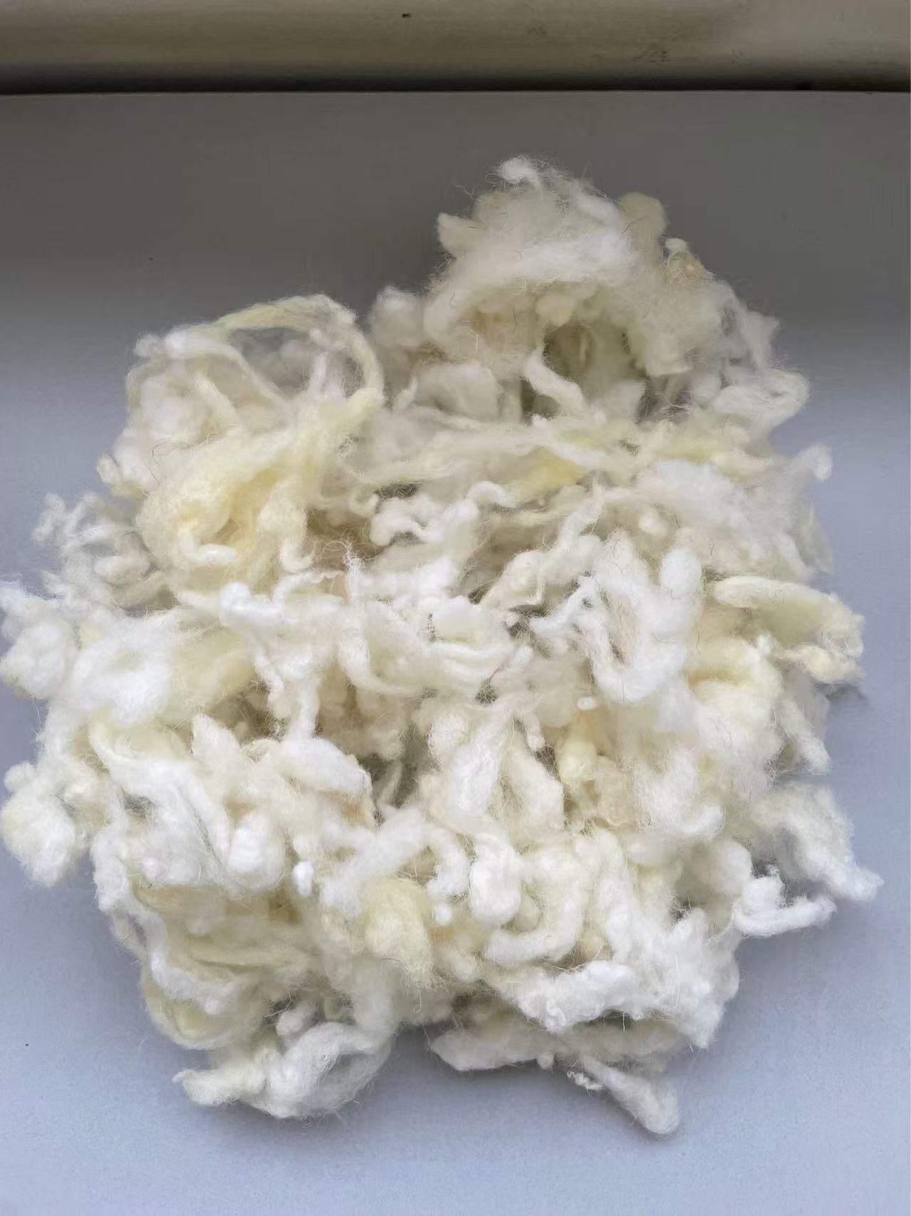 防缩碳化羊毛/ CARBONISED WOOL SUPERWASH