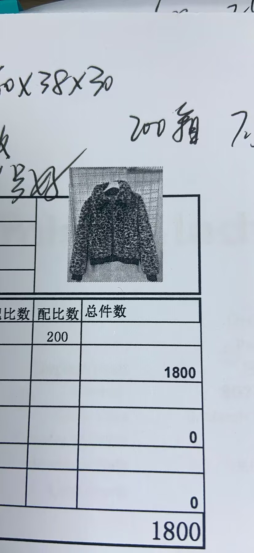女式上衣