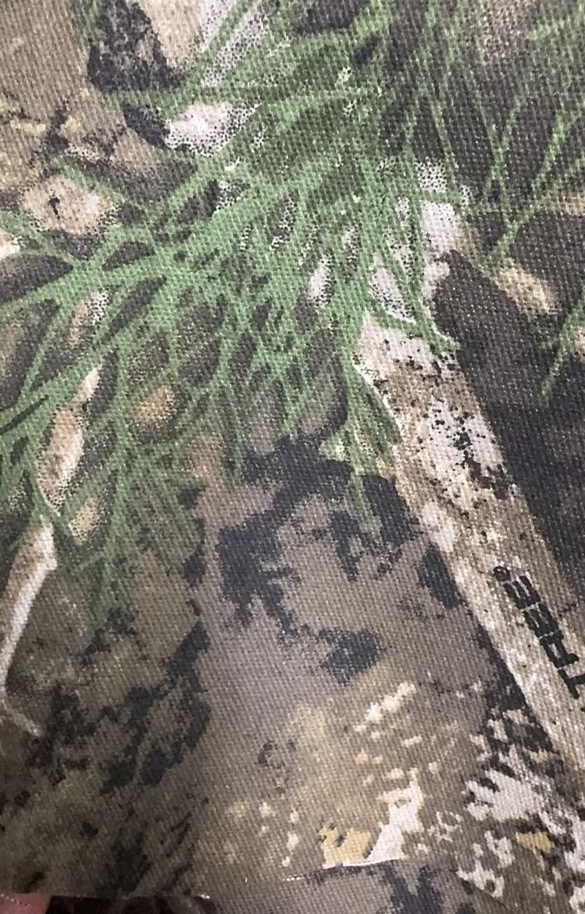 棉涤印花梭织布