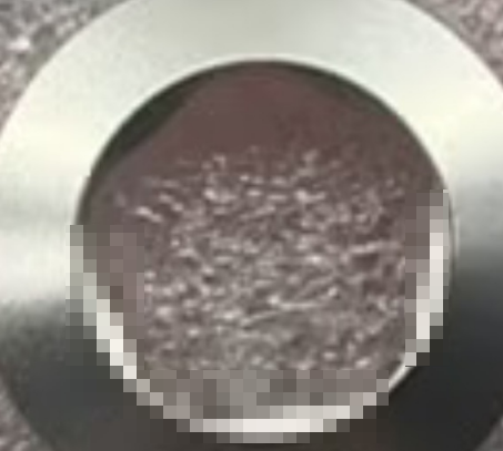 PLASM2856