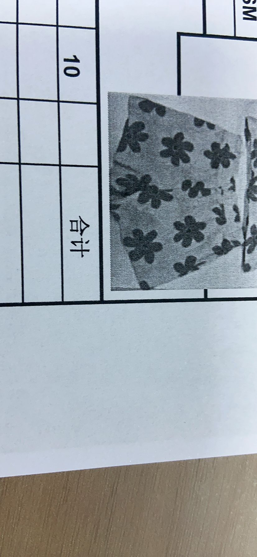 女式短裤
