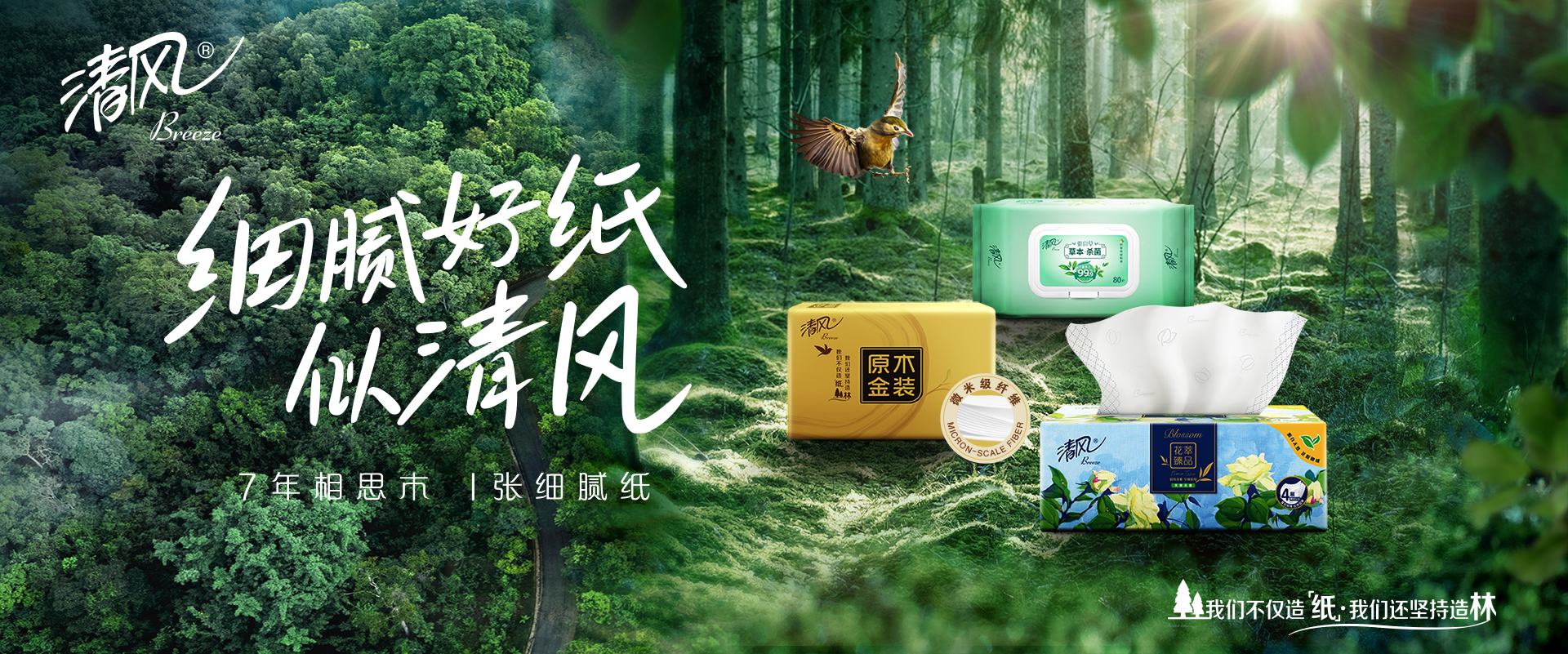 RT-卷筒卫生纸-Y212VPY