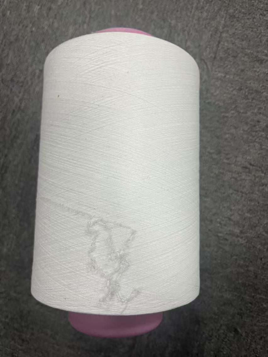 涤纶包覆丝