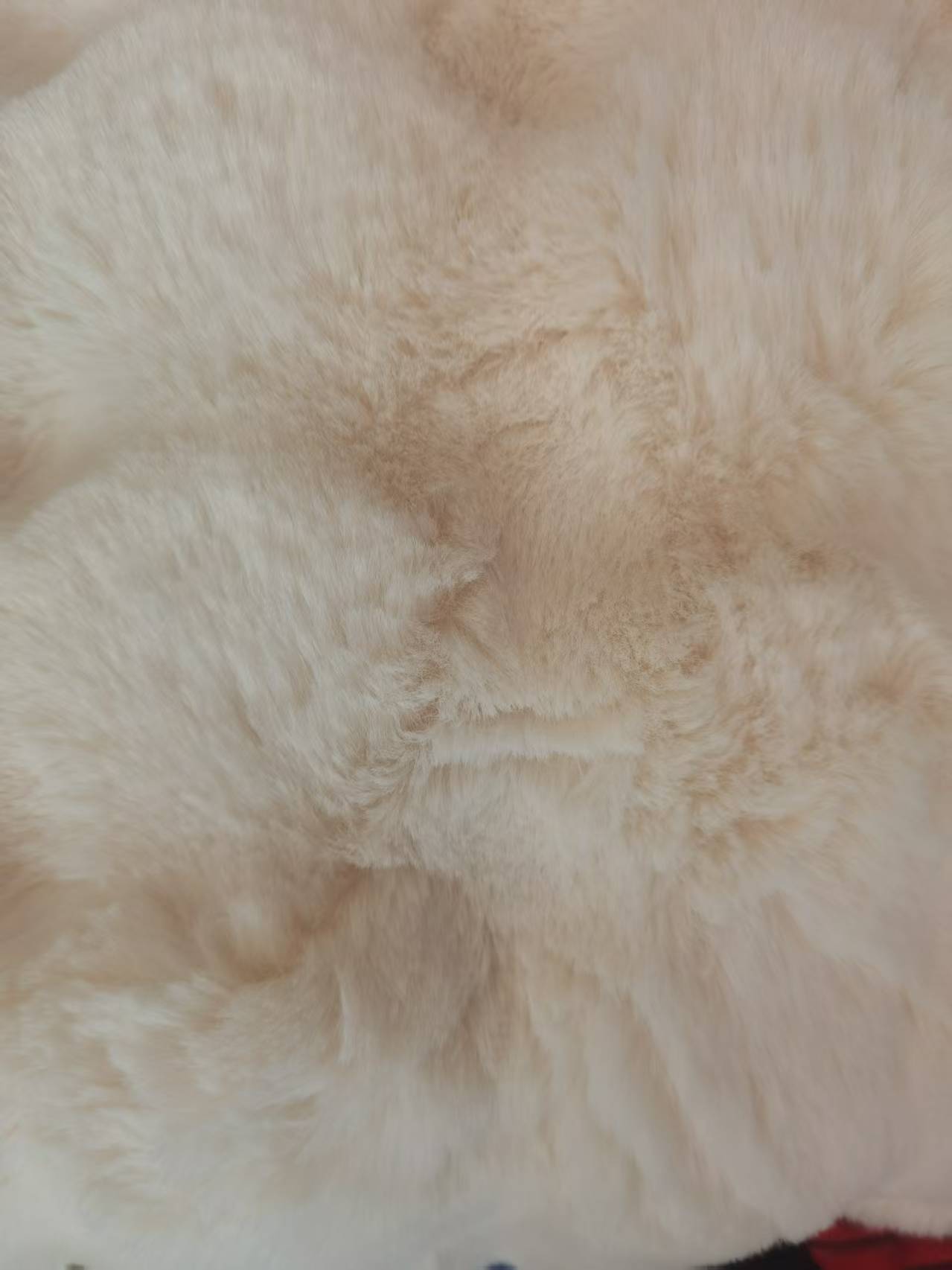 兔毛泡泡