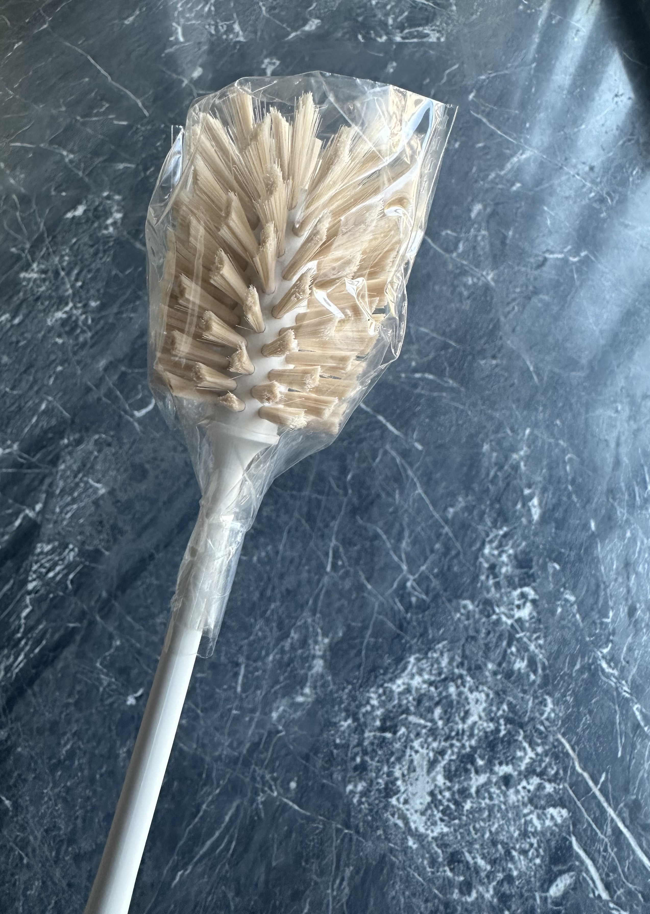 刷子