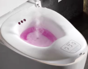 Electric Bidet