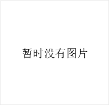 锂电混凝土振动器