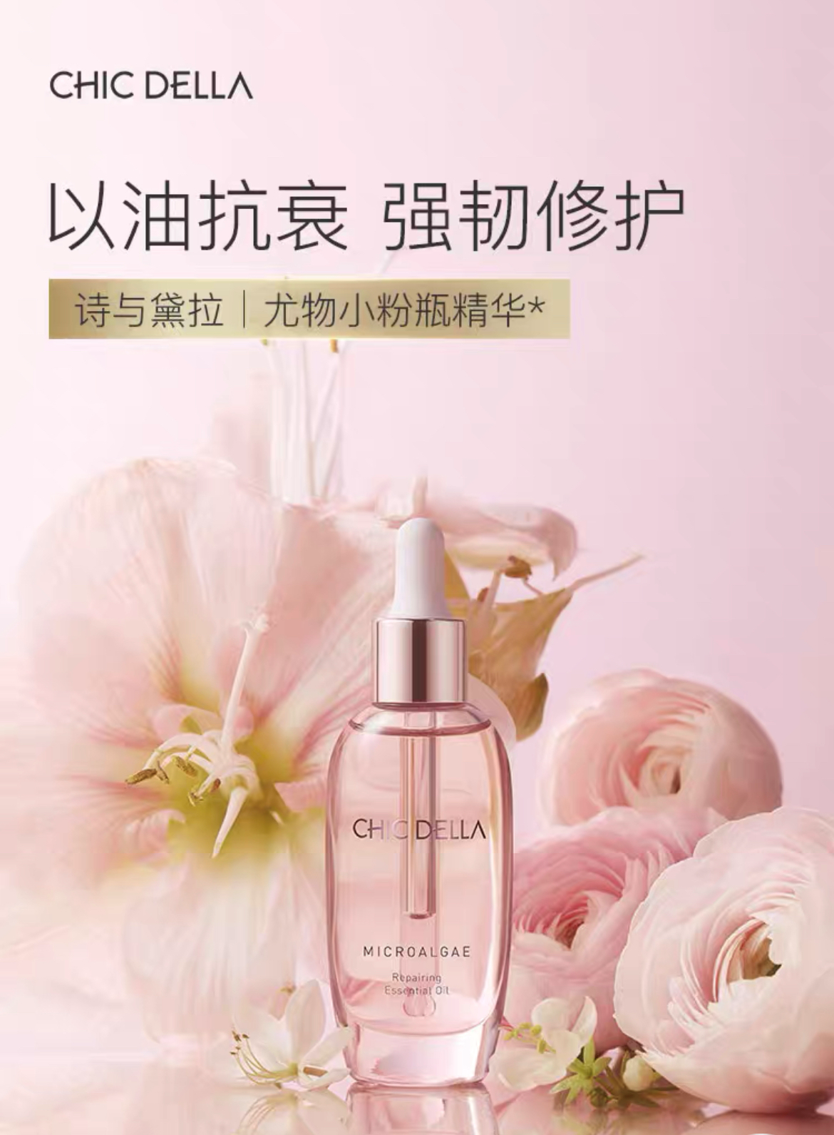 30ml  CHICDELLA藻萃修护精华油