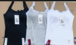 女式胸衣