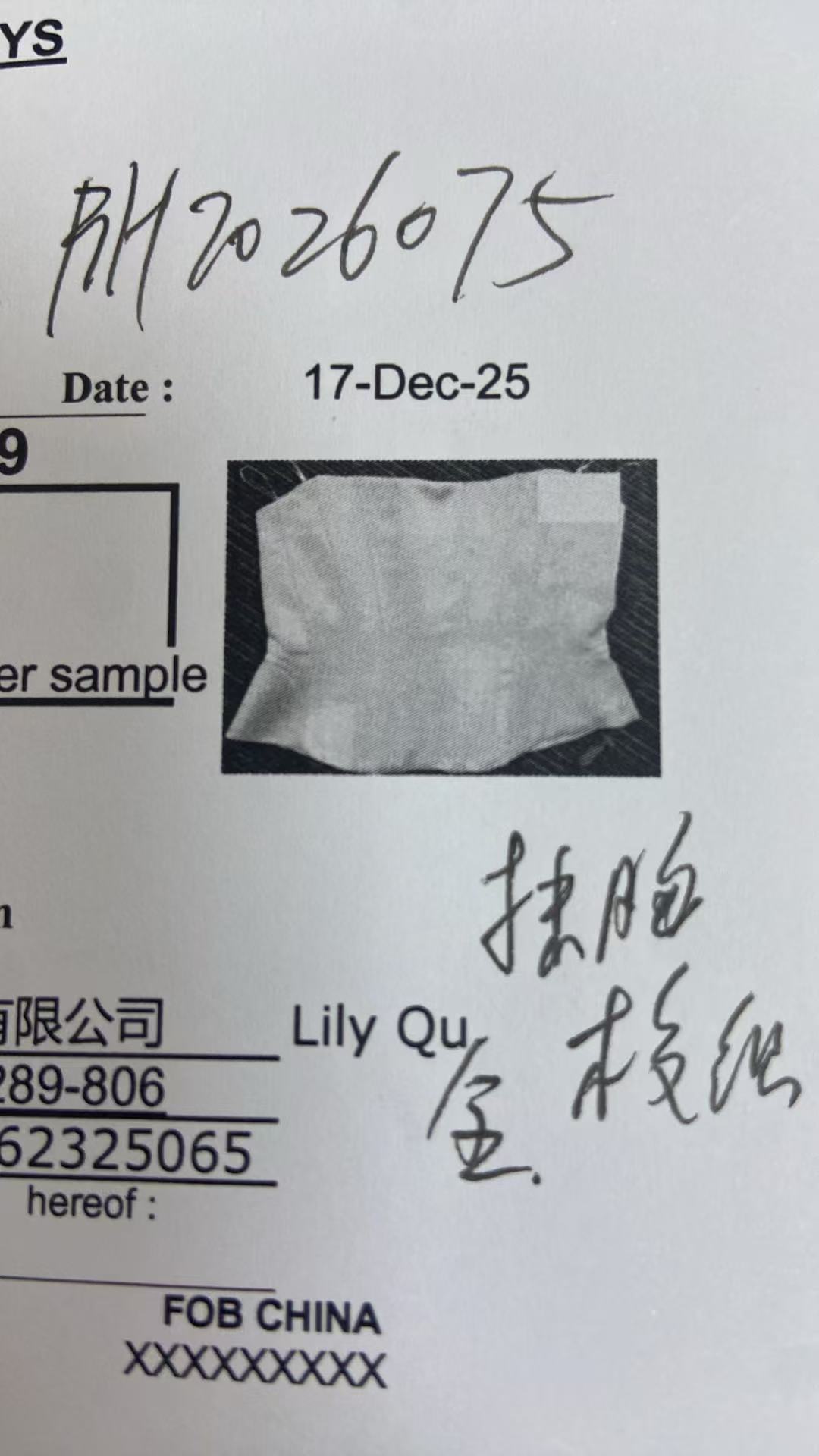 女式胸衣