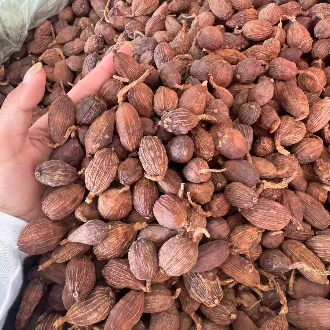 干黑豆蔻整体烹饪用