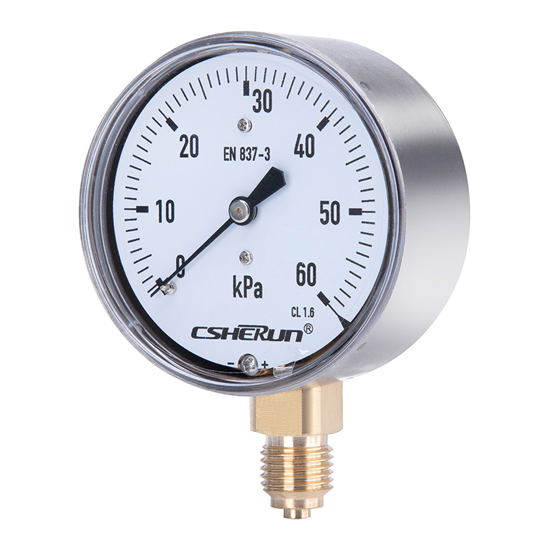 膜盒压力表 G1/4 径向 不锈钢