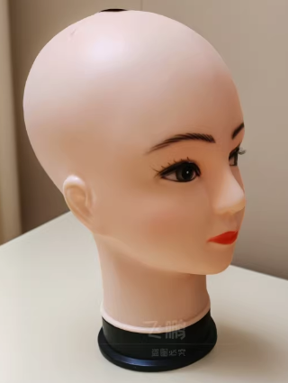 model head
